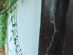 -柯岩风景区