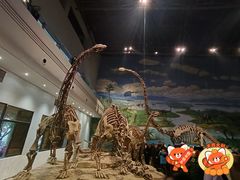 -自贡恐龙博物馆