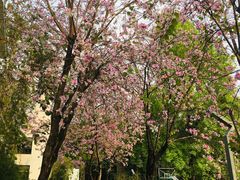 -华南国家植物园-售票处