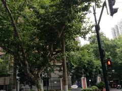 -上海市黄浦区卢湾第一中心小学