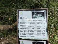 -广州白江湖森林公园