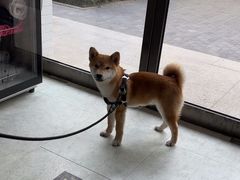 -纳吉亚猫专科动物医院·北北分院