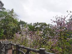 -白云山风景名胜区
