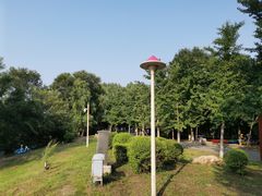 -长白岛森林公园