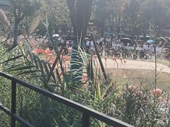 -武汉动物园
