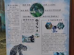 -青藏高原野生动物园