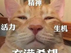 -汪小喵宠物·戴维斯乐芳希施宠馨宝皮毛调理洗护店