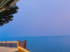 -七鲜渔港美食餐厅(巽寮湾海景店)