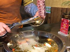 -土著渔匠·养生蝴蝶鱼(香樟路店)