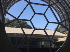 -新加坡丽思卡尔顿美年酒店