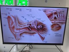 -自然之声助听器·呼吸机(康桥旗舰店)
