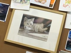 -八哥美术·成人美术画室(总校区)