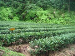 -武夷山风景名胜区-虎啸岩