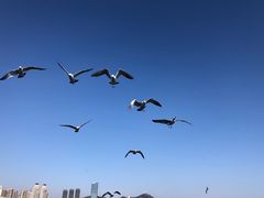 -黑石礁公园