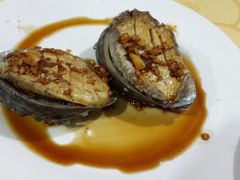 android_upload_pic-日照海滨国家森林公园