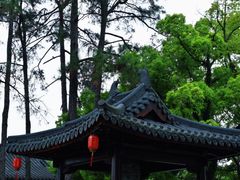 -江心屿景区