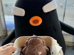 -沈阳奥林匹克体育中心