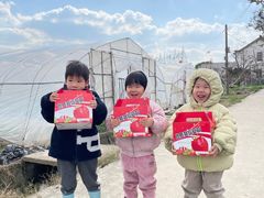 -小鱼草莓采摘园农家乐·小鱼餐厅