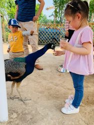 -萌宠亲子动物乐园(槐房万达店)