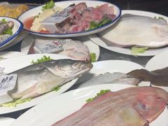-船泊丽港(统一路店)