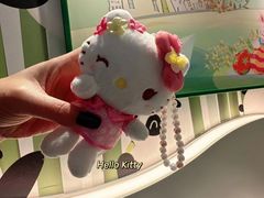 -安吉Hello Kitty乐园