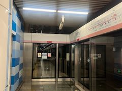 -大望路(地铁站)