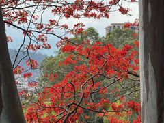 -攀枝花公园