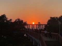 -宝安西湾红树林湿地公园