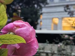 -南京东郊国宾馆