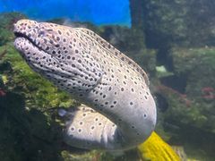 -泉城欧乐堡海洋极地世界