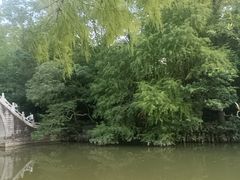 -深圳仙湖植物园