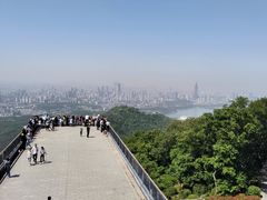 -紫金山山顶公园