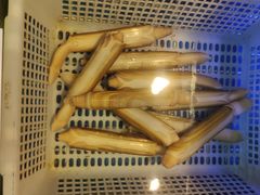 -天盛海鲜烧烤城·特色烤海鲜(开发区店)