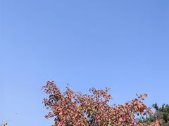 -香山公园