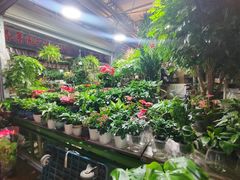 -朝来春花卉市场