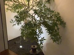 -玖五京菜(杭州城北万象城店)
