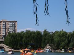 -团结湖公园