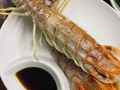 -强记龙虾钳(定安里店)