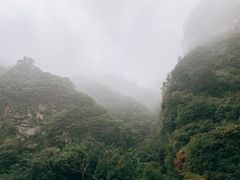 -沣峪口