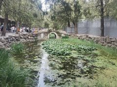 -颐和园