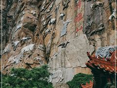 -西霞口神雕山野生动物世界