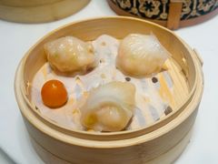 -点都德·毕德寮