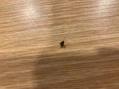 -麦当劳(西单明珠店)