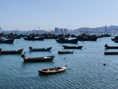 -海源公园