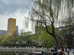 -文瀛公园