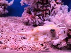 -乌鲁木齐海洋馆