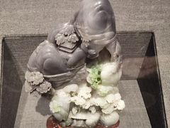 -青藏高原自然博物馆