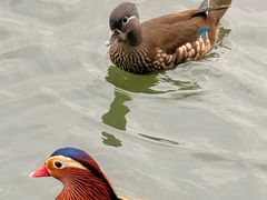 -朴墅·传承杭帮菜(青芝坞店)