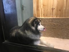 -上海天地软件园