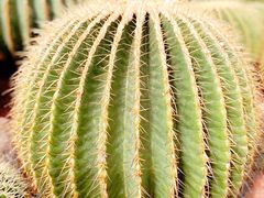 -南通洲际绿博园